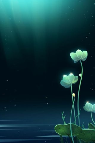 国风夜晚荷花荷叶大气背景