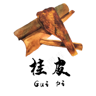 手绘草本中药药材桂皮