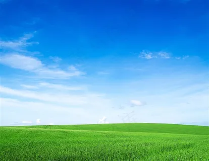 蓝天碧草背景 蓝天碧草背景