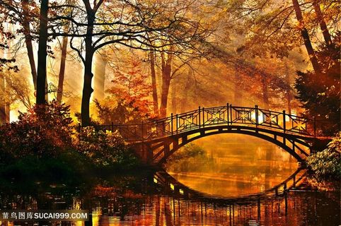 高清唯美秋天山林小桥风景图片