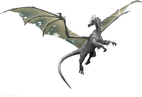 龙 飞龙火龙飞天龙喷火龙