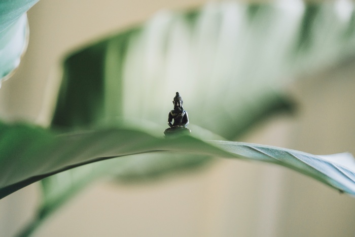瑜伽意境系列