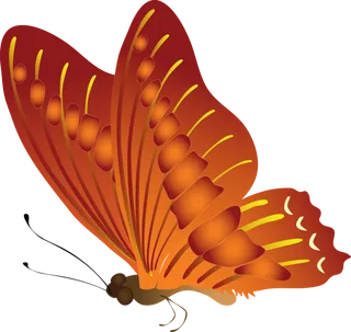 卡通动画动画蝴蝶免扣PNG手绘插画图片素材 (140)