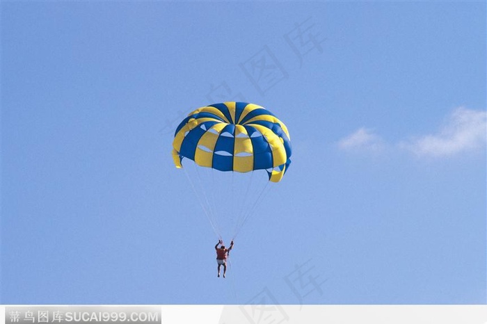 黄蓝相间的圆形伞