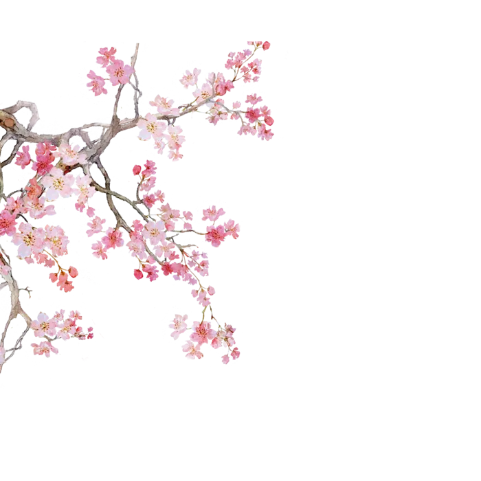 春天浪漫粉红色樱花手绘樱花梅花桃花花朵图片PNG免扣素材