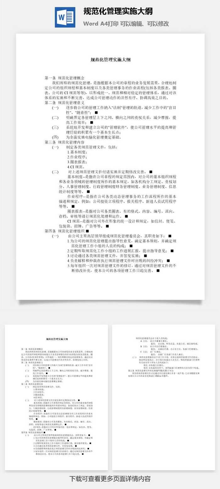 规范化管理实施大纲word模板