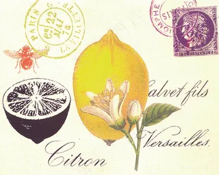 柠檬艺术水彩装饰画插画