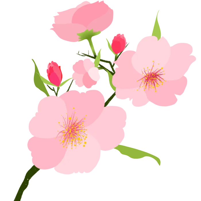 春天浪漫粉红色樱花手绘樱花梅花桃花花朵图片PNG免扣素材