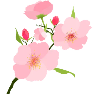 春天浪漫粉红色樱花手绘樱花梅花桃花花朵图片PNG免扣素材