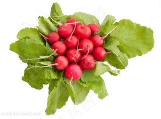 新鲜红萝卜特写高清图片