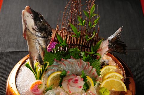 活鲷鱼刺身 