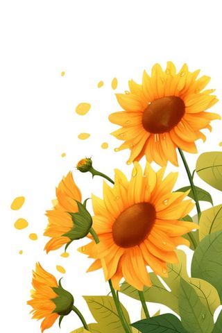 向日葵花朵插画元素