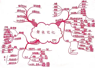 超级记忆思维导图