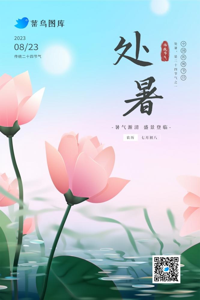 处暑清爽花朵池塘粉蓝色节气海报