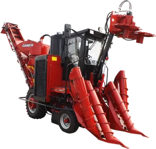 胡萝卜种植现代农业