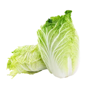 大白菜 (8)超市商品白底图免抠实物摄影png格式图片透明底