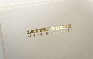 LOGO效果样机展示