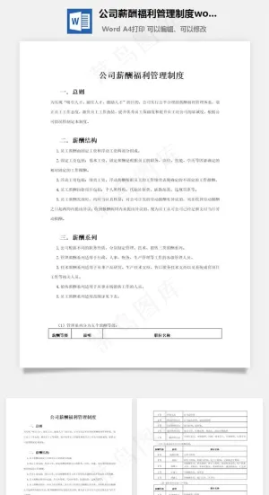 公司薪酬福利管理制度word文档