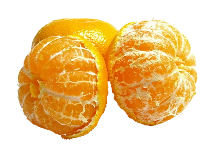 橘子免抠素材 (21)