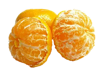 橘子免抠素材 (21)