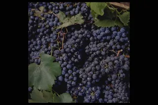 简约风唯美浪漫美食餐具桌面摄影素材 (203)