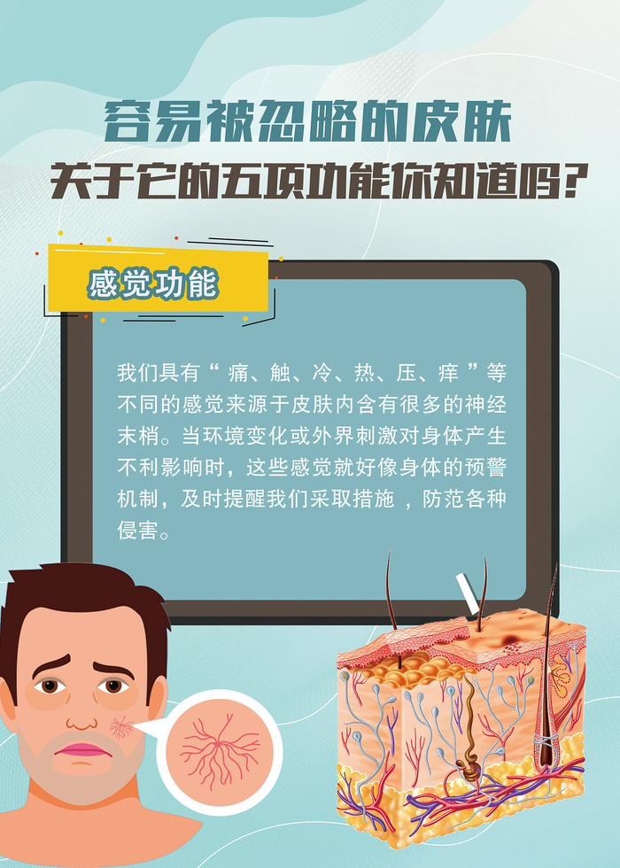 关于皮肤的功能知识海报