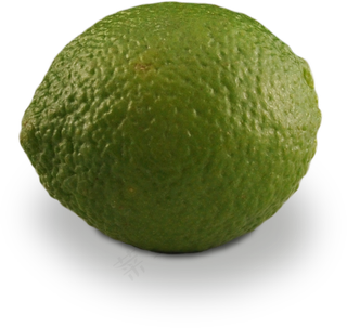 25食材|厨房|食品|百货|美食|免扣