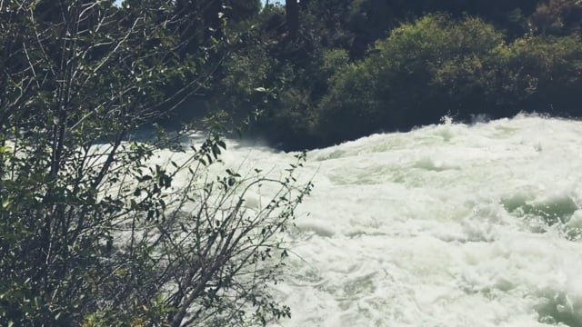 溪, 急流, 河, 级联, 流动, 荒野, 水, 自然