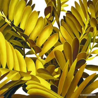 金属植物树叶高清插画