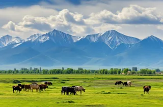 一群牛在郁郁葱葱的绿色田野上吃草非常美丽的风景摄影图