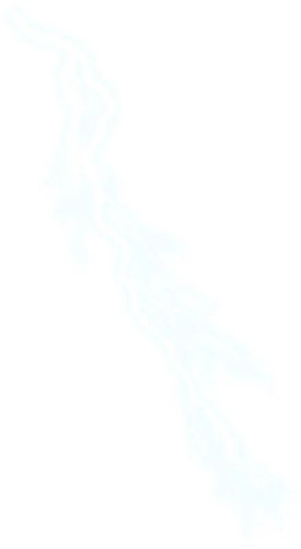 闪电 PNG免抠(439x800)