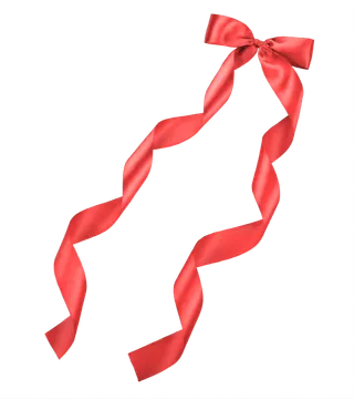 蝴蝶结红色绸带