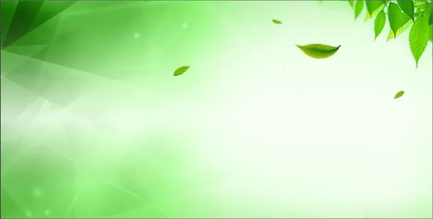 国宝竹叶青酒 国宝竹叶青酒