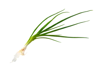 香葱 (3)超市商品白底图免抠实物摄影png格式图片透明底