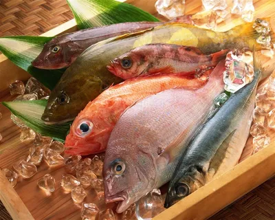 餐饮美食鱼海鲜 餐饮美食鱼海鲜