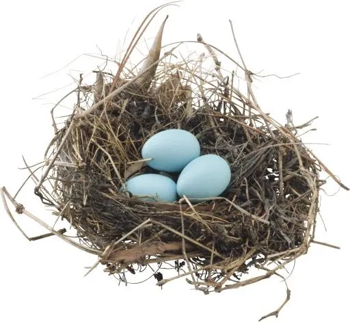 鸟巢 PNG免抠(2317x2132)