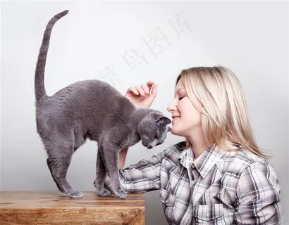 听话的大灰猫 听话的大灰猫