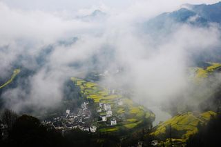 安徽石潭油菜花风景图片-第2张