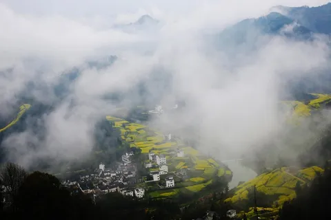 安徽石潭油菜花风景图片-第2张 安徽石潭油菜花风景图片-第2张