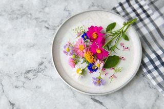 鲜花彩色花朵碟子摆盘简约摄影图