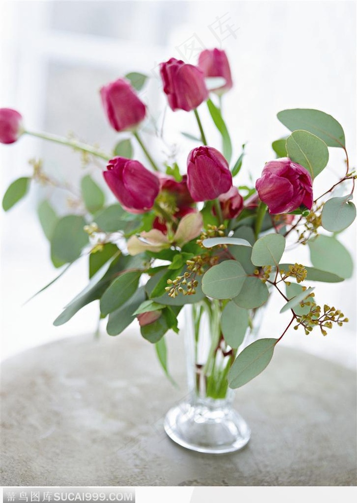 插花物语-漂亮的紫色郁金香