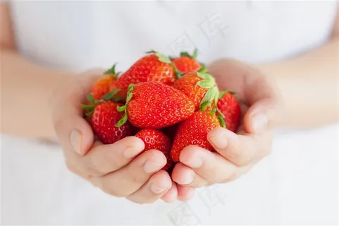 捧在手心里的新鲜草莓摄影 捧在手心里的新鲜草莓摄影