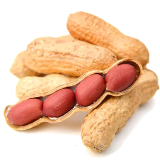 66花生干果超市商品白底图免抠实物摄影png格式图片透明底