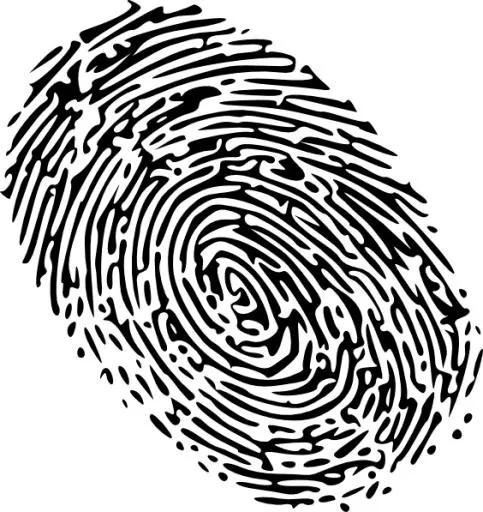 指纹 PNG免抠(564x597)