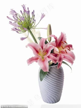 花饰小品-花瓶中的百合花