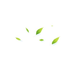 几片树叶飘在空中png免抠