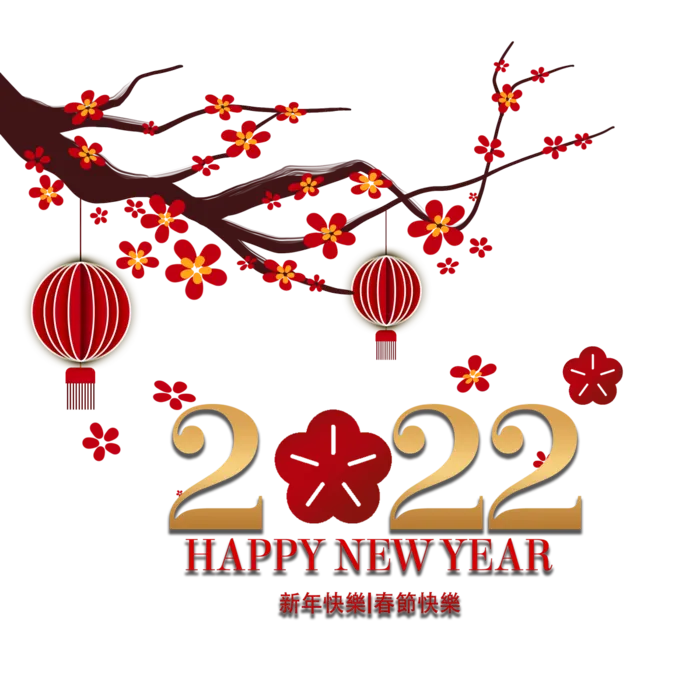2022新年艺术创意字体虎年3D立体标题数字文字png免抠字素材