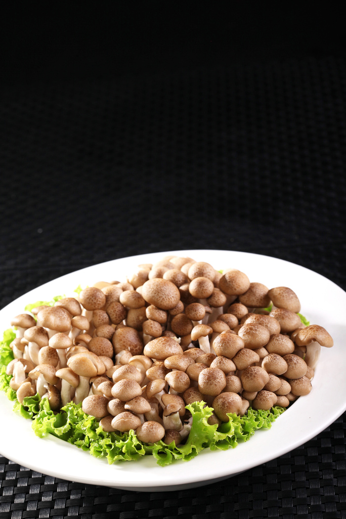 鲜味菇