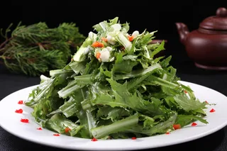 凉拌苦菊ZX