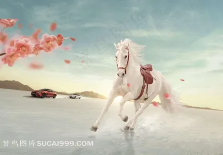 奔跑的骏马